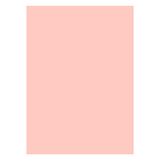 Canson Colored Chart Paper 150 gsm B1 Sheet