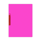 Mintra Plastic Semi-Transparent Presentation File with Swing Lock Clip