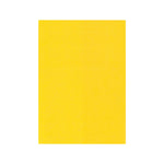 Sofi Notebook Slip-on Plastic Cover Jacket