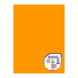 Generic Display Book 60 Fixed Pockets A4