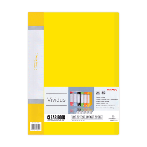 Vividus Display Book 10 Fixed Pockets A4