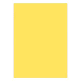 Canson Colored Chart Paper 150 gsm B1 Sheet