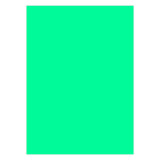 Canson Colored Chart Paper 150 gsm B1 Sheet