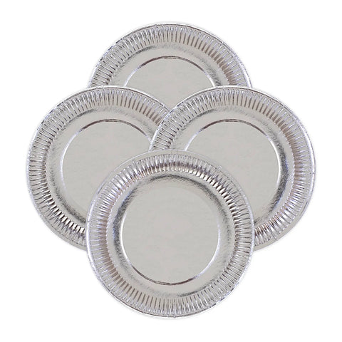 Generic Paper Plates Set of 12