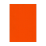 Apple Colored Copy Printer Paper A4 Pack of 20