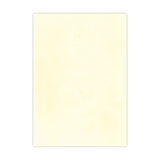 Apple Colored Copy Printer Paper A4 Pack of 20