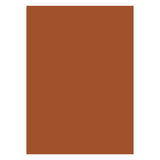 Canson Colored Chart Paper 150 gsm B1 Sheet