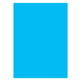 Canson Colored Chart Paper 150 gsm B1 Sheet