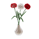 Crafty Handmade Crochet Carnation Flower Bouquet