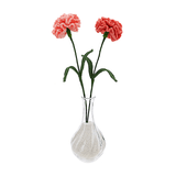 Crafty Handmade Crochet Carnation Duo Flower Bouquet